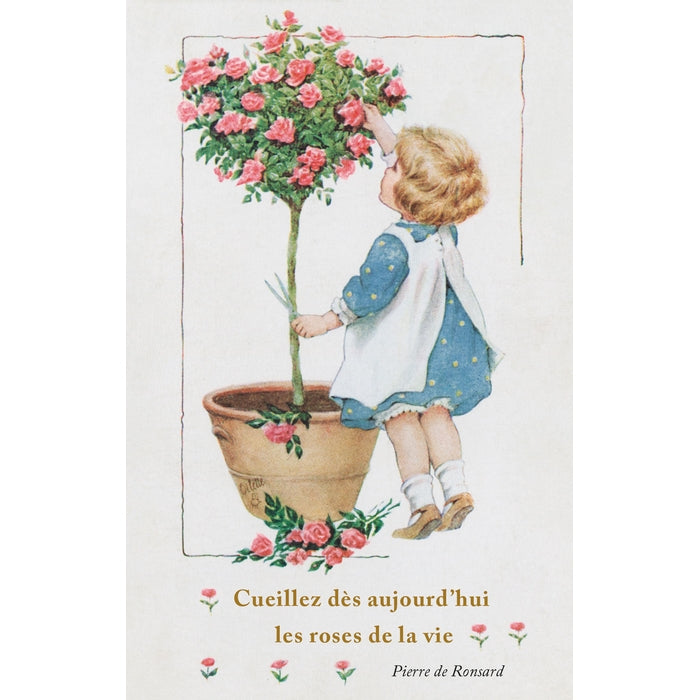 Carte postale les roses de la vie