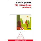 Un merveilleux malheur